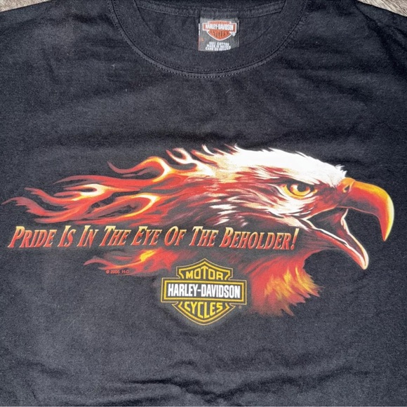 Harley-Davidson Other - Vintage Harley Davidson Large 2006 Zion Eagle Washington Utah Pride Eye
